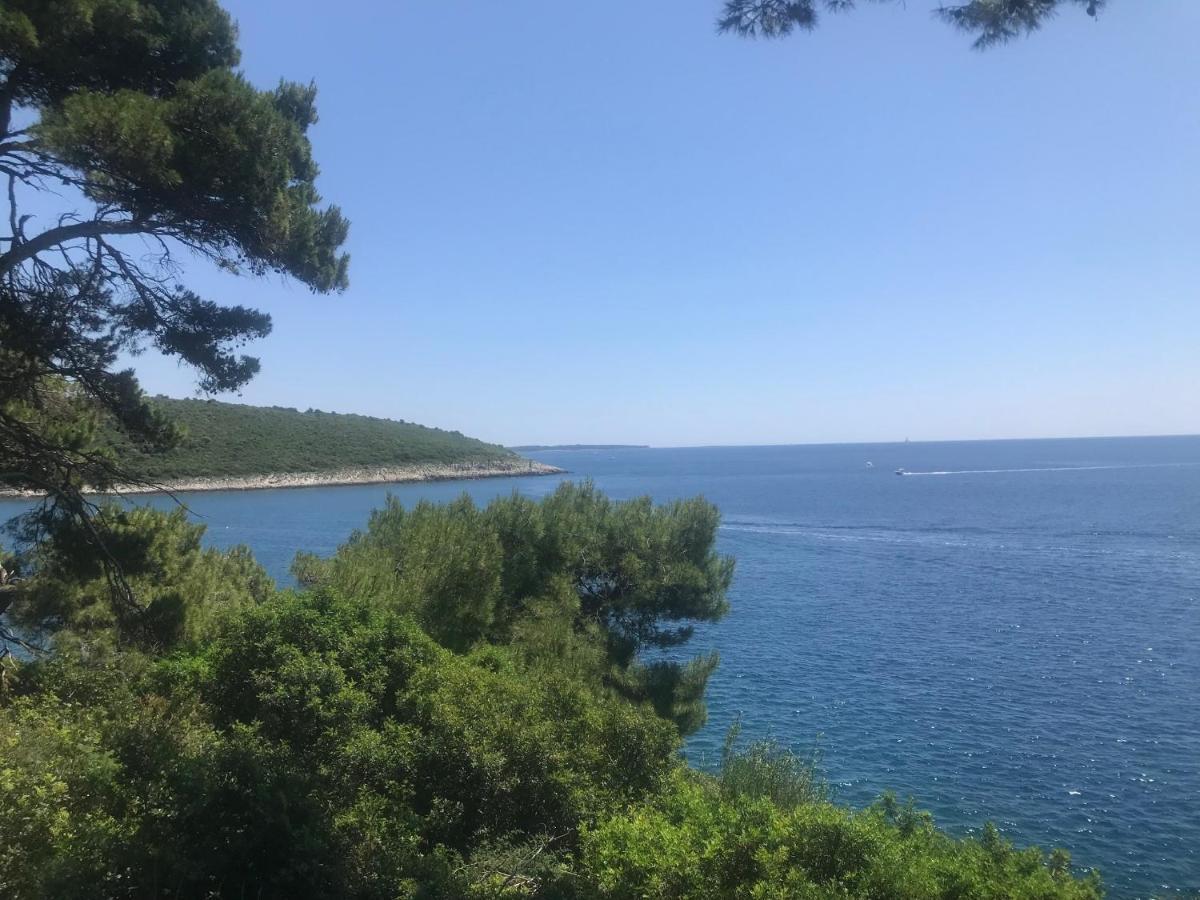 Villa Holiday Banjole Esterno foto